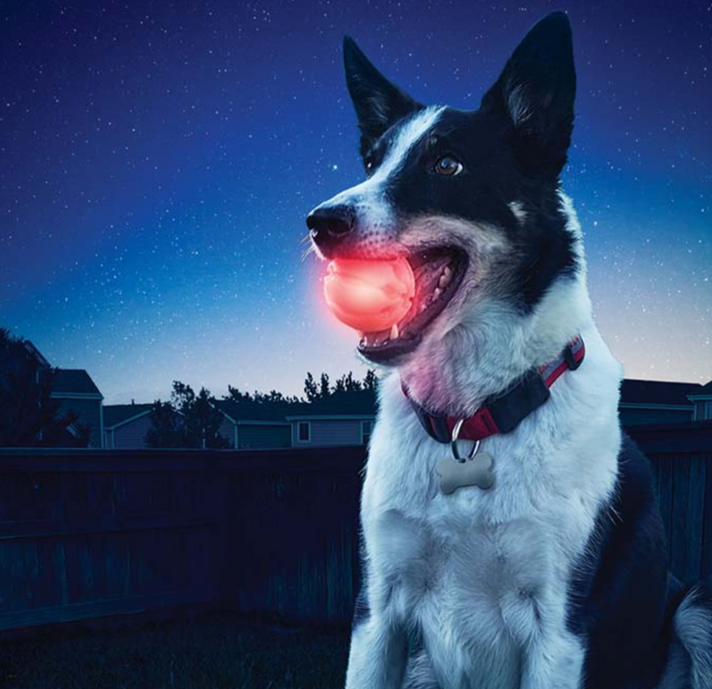 Balle LED interactive pour chien – Balle lumineuse rebondissante rechargeable USB