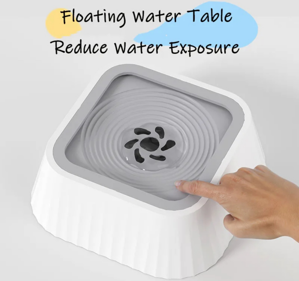 Bol d'eau flottant