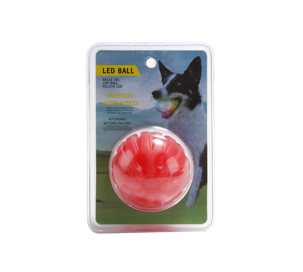 Balle LED interactive pour chien – Balle lumineuse rebondissante rechargeable USB