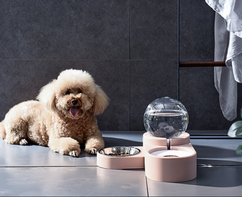 Fontaine à eau automatique et gamelle inox 2-en-1 pour chien et chat